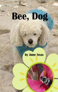 A white miniature poodle dog wearing a blue sweater is on a beach looking at a flower with a large bee at the center.