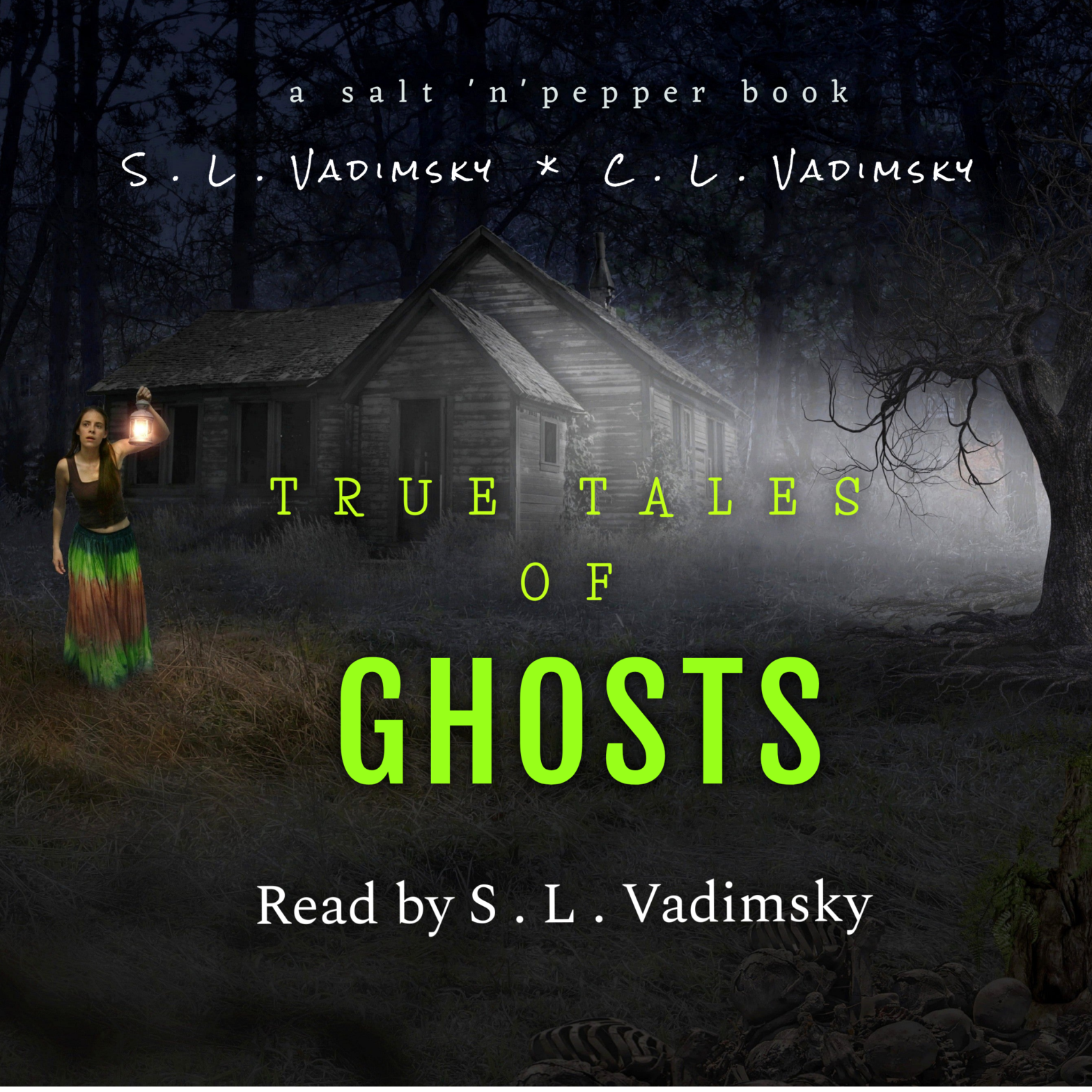 book cover shows a young woman in a long skirt holding a lantern outside a cabin at night in mist